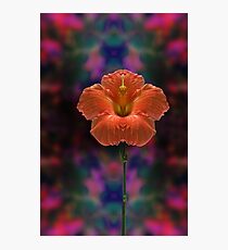 3265 Photographic Print