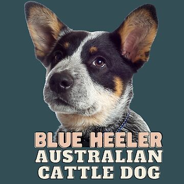 Australian Cattle Dog Blue Heeler Puppy Mounted Print for Sale by Elarex