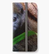 Gentle Lemur and Reed iPhone Wallet/Case/Skin