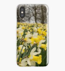 Daffodils iPhone Case/Skin