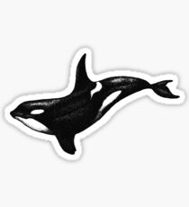 Orca Sticker