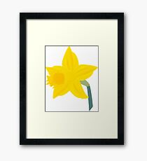 Daffodil, Daffodil Framed Print