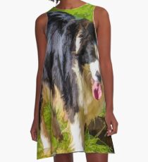 Border Collie - Color A-Line Dress