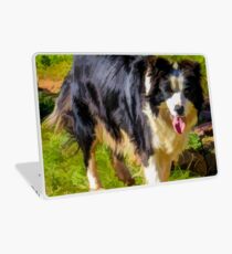 Border Collie - Color Laptop Skin