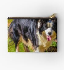 Border Collie - Color Studio Pouch