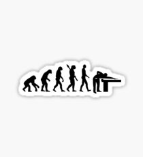 Evolution Billiards Sticker