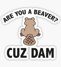 Are You A Beaver? Cuz Dam Sticker