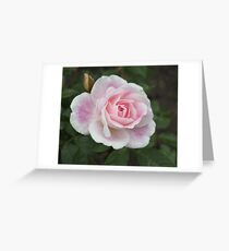 Blushing Pink Iceberg Greeting Card