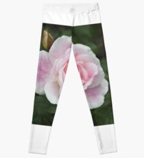 Blushing Pink Iceberg Leggings