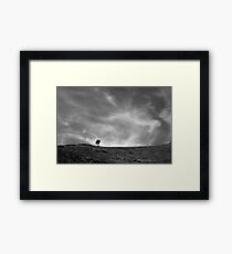Tree on a windy hill, Corsica France Framed Print