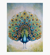 Peacock Photographic Print