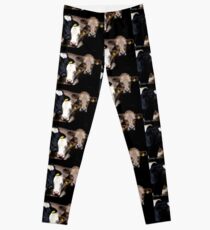' We All Want Our Picture Taken' Leggings