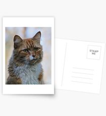 Are You Serious? Postcards