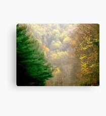 Between the Trees ^ Canvas Print