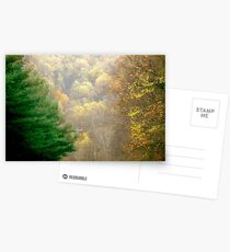 Between the Trees ^ Postcards