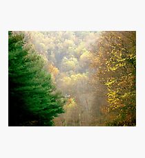 Between the Trees ^ Photographic Print