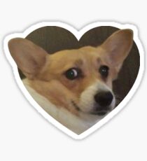 Doggo-Aufkleber: Erschrockenes Corg Sticker