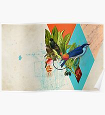 Birds Poster