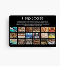 Herp Scales Poster Canvas Print