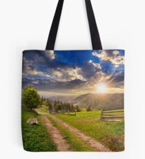 tree on hillside path through meadow in foggy mountain at sunset Tote Bag
