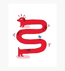 HotDog Photographic Print