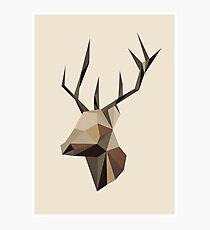 Geometric Deer Photographic Print