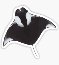 Manta Ray Sticker