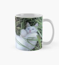 Boo the Deaf Kitty in the Grass Mug