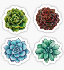 Succulent Sticker Set Sticker