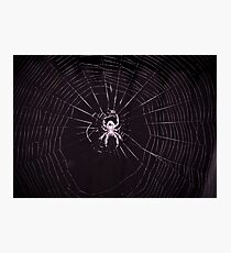 Web Photographic Print