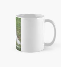 Boo the Deaf Kitty needs boundaries with Dot Mug