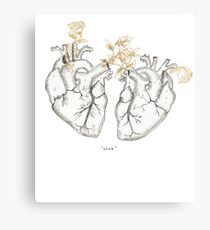 Love Canvas Print