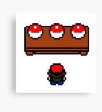 The Pokemon Choice Canvas Print