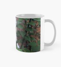 Boo the Deaf Kitty - window Mug