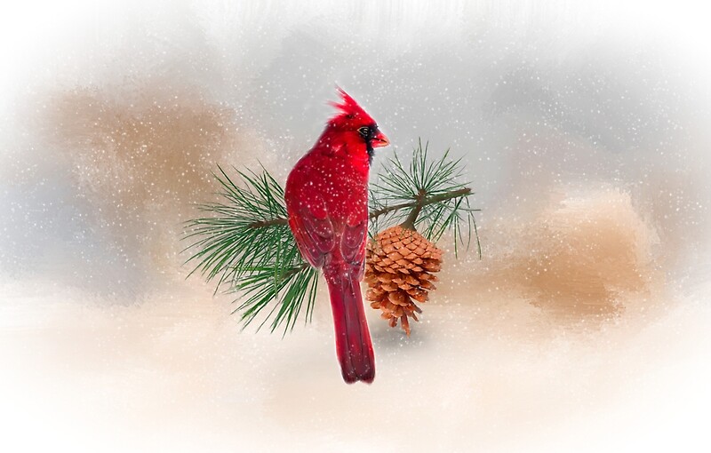 "Cardinal and Pine Cone" by MaryTimman Redbubble