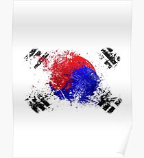korean flag brush Poster