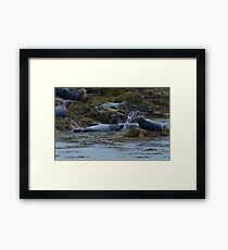 KELP KOMBAT! Framed Print