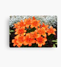 Orange Lilies in My Garden Canvas Print