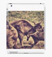 Kangaroos iPad Case/Skin