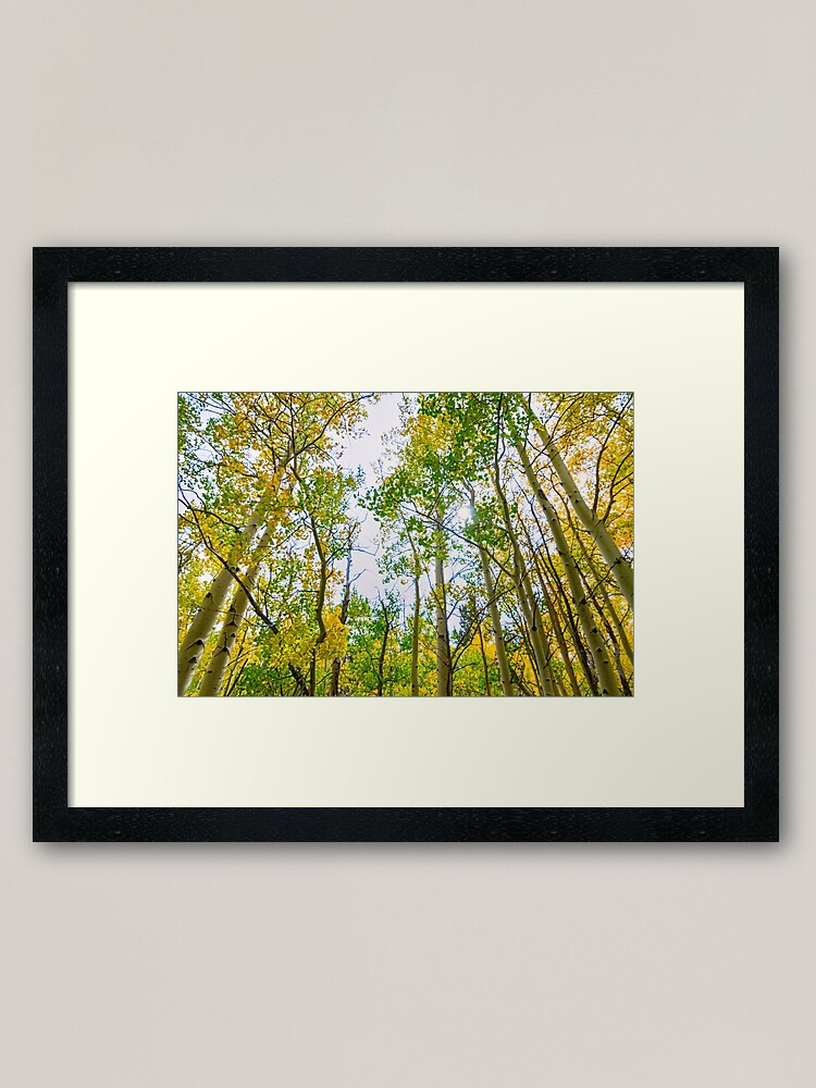 Alternate view of Mountain Breeze Framed Art Print