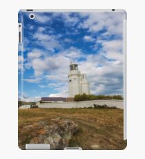 St Catherines Lighthouse iPad Case/Skin