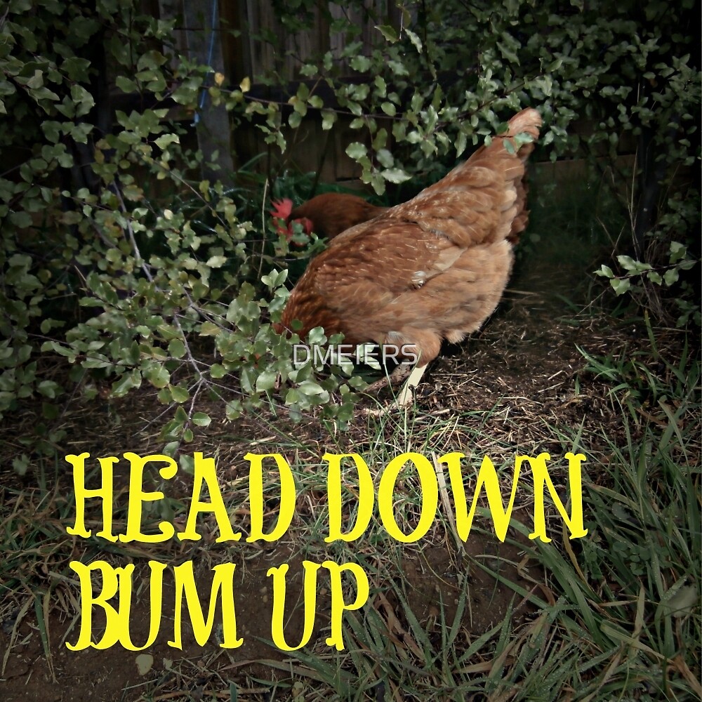 "BUM UP , HEAD DOWN." by DMEIERS Redbubble