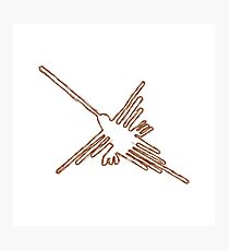 Nazca Hummingbird Sketch Photographic Print