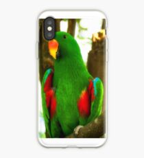 Eclectus Parrot iPhone Case