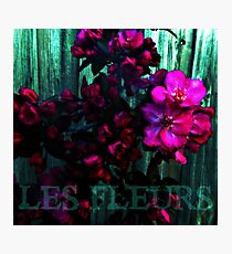 LES FLEURS Photographic Print