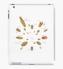 Ammo iPad Case/Skin