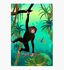 chimpanzee Photographic Print