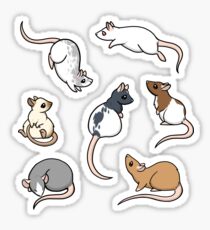 Rats Sticker