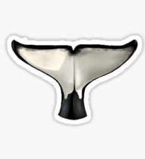 Orca flukes Sticker