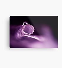 Purple Passion Metal Print